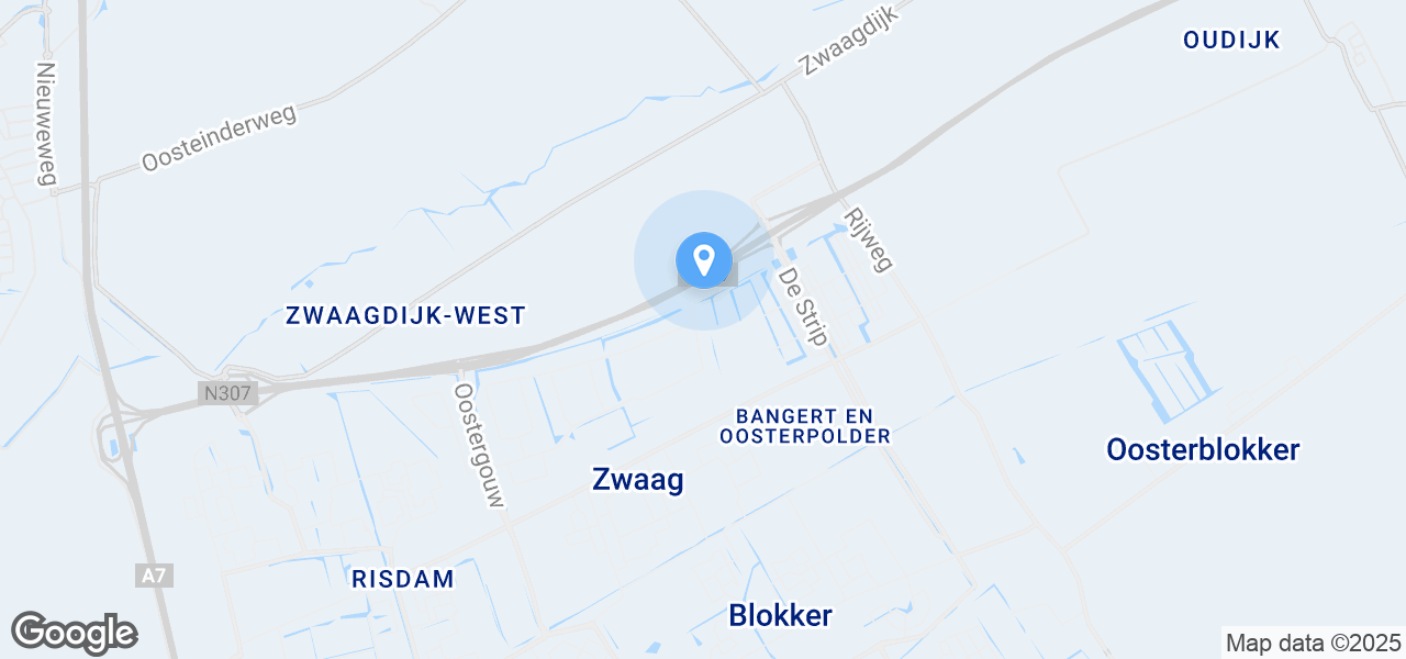 Google Static Map