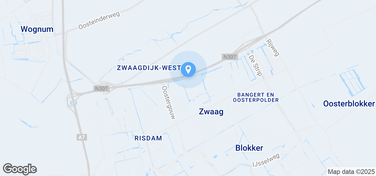 Google Static Map