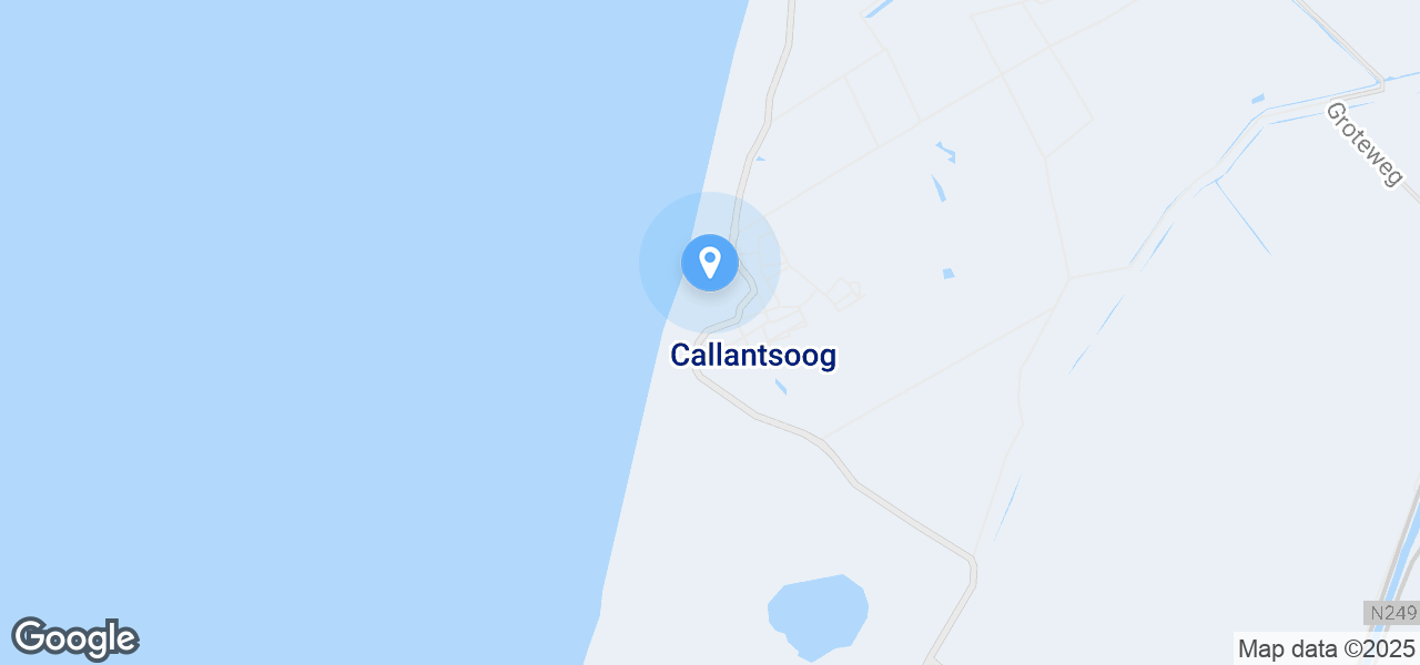 Google Static Map