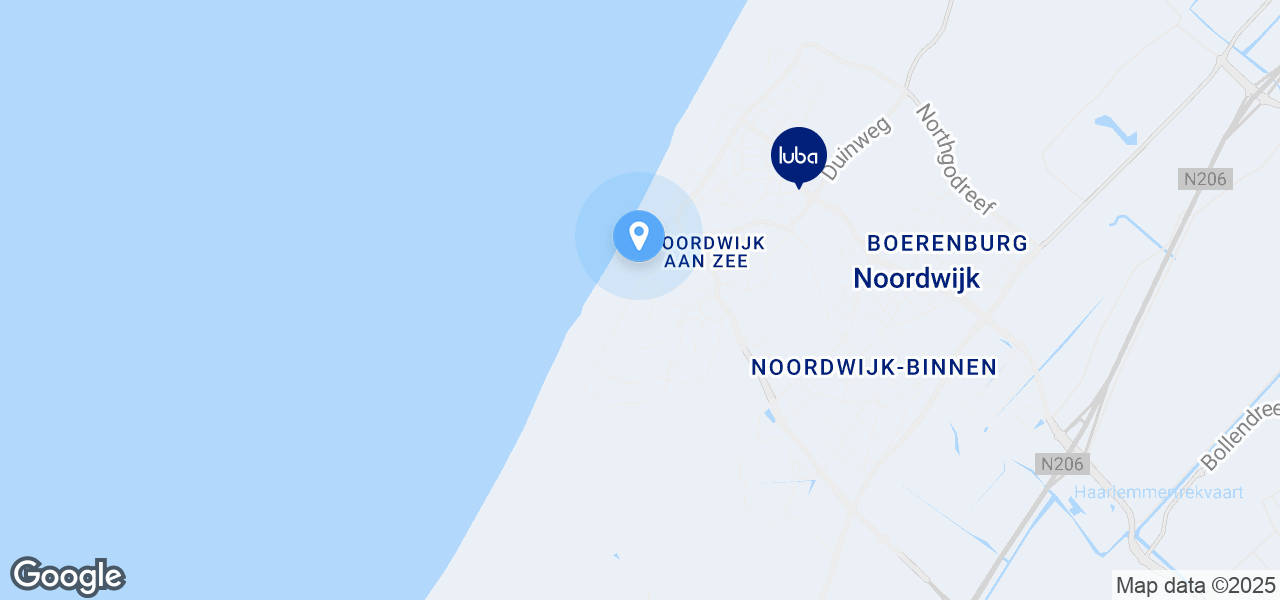 Google Static Map