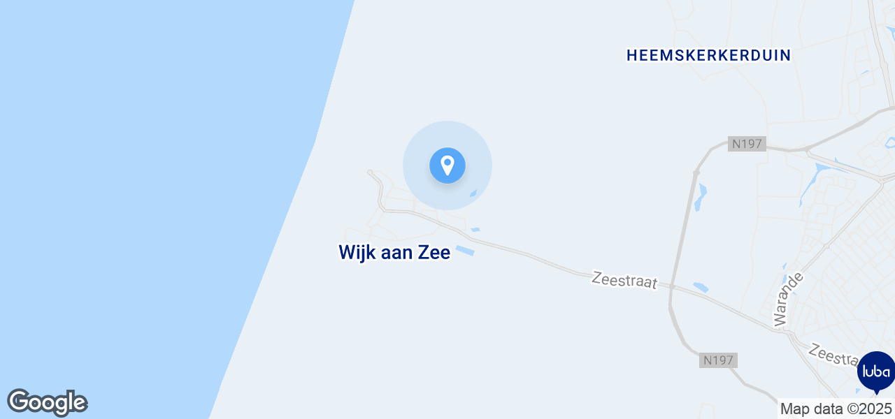 Google Static Map