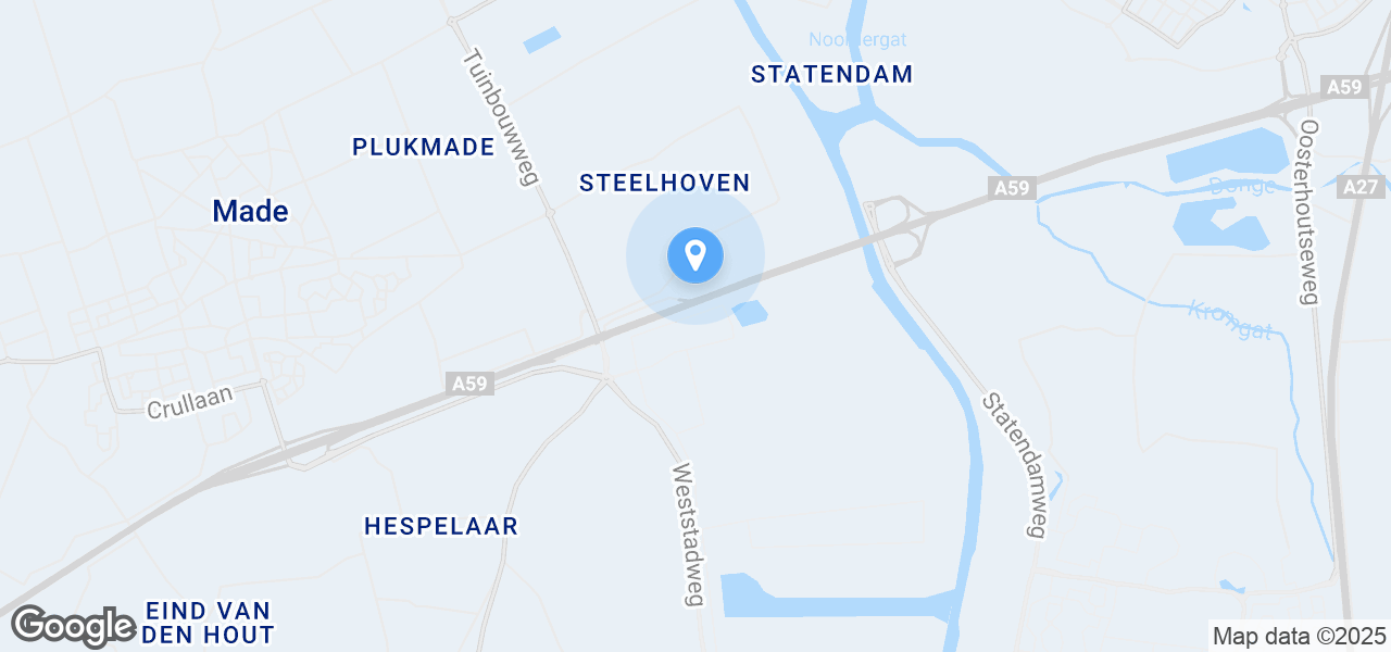 Google Static Map