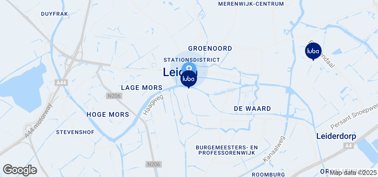 Google Static Map