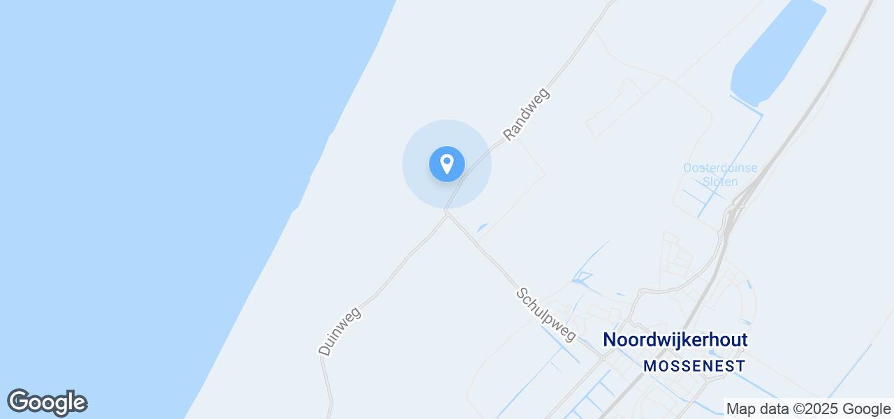 Google Static Map
