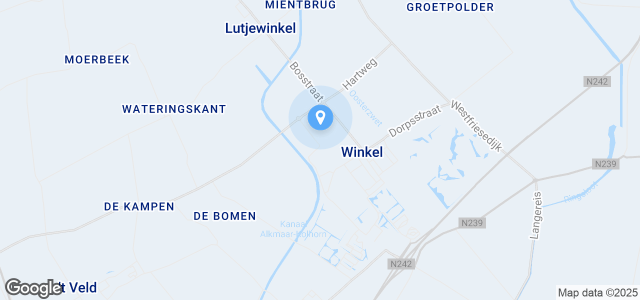 Google Static Map