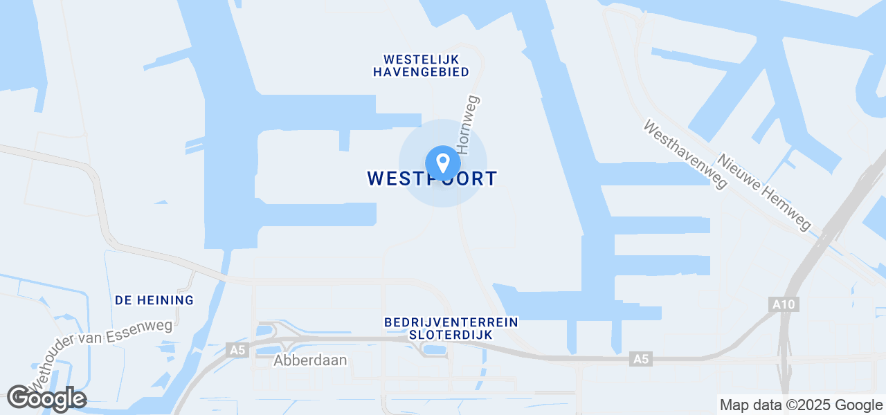 Google Static Map