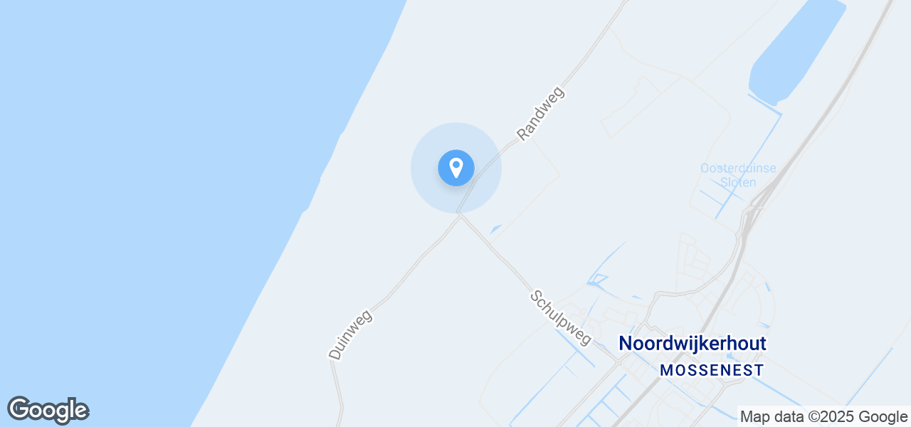 Google Static Map