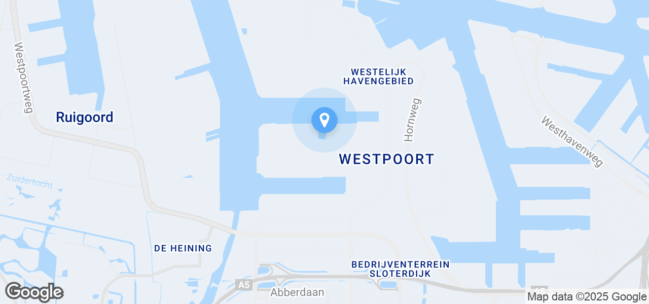 Google Static Map
