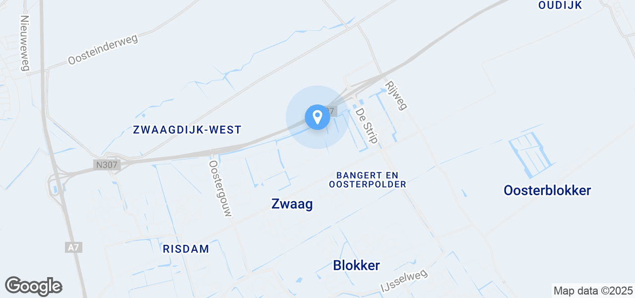 Google Static Map