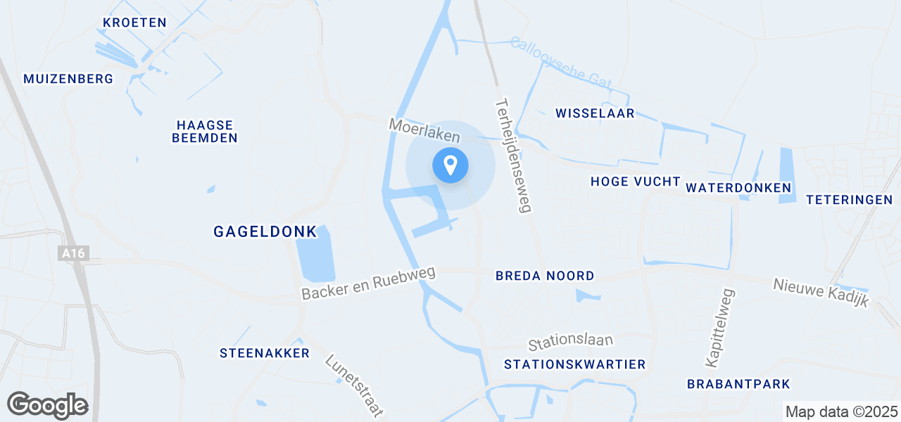 Google Static Map